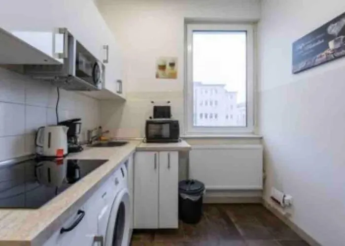 Apartament Big Fancy Center *